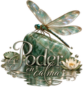 A decorative graphic featuring a glittery dragonfly perched on a green stone above the Spanish phrase 'Poder en calma' in metallic script, with a white lotus flower, water droplets, and reflections on a white background.
